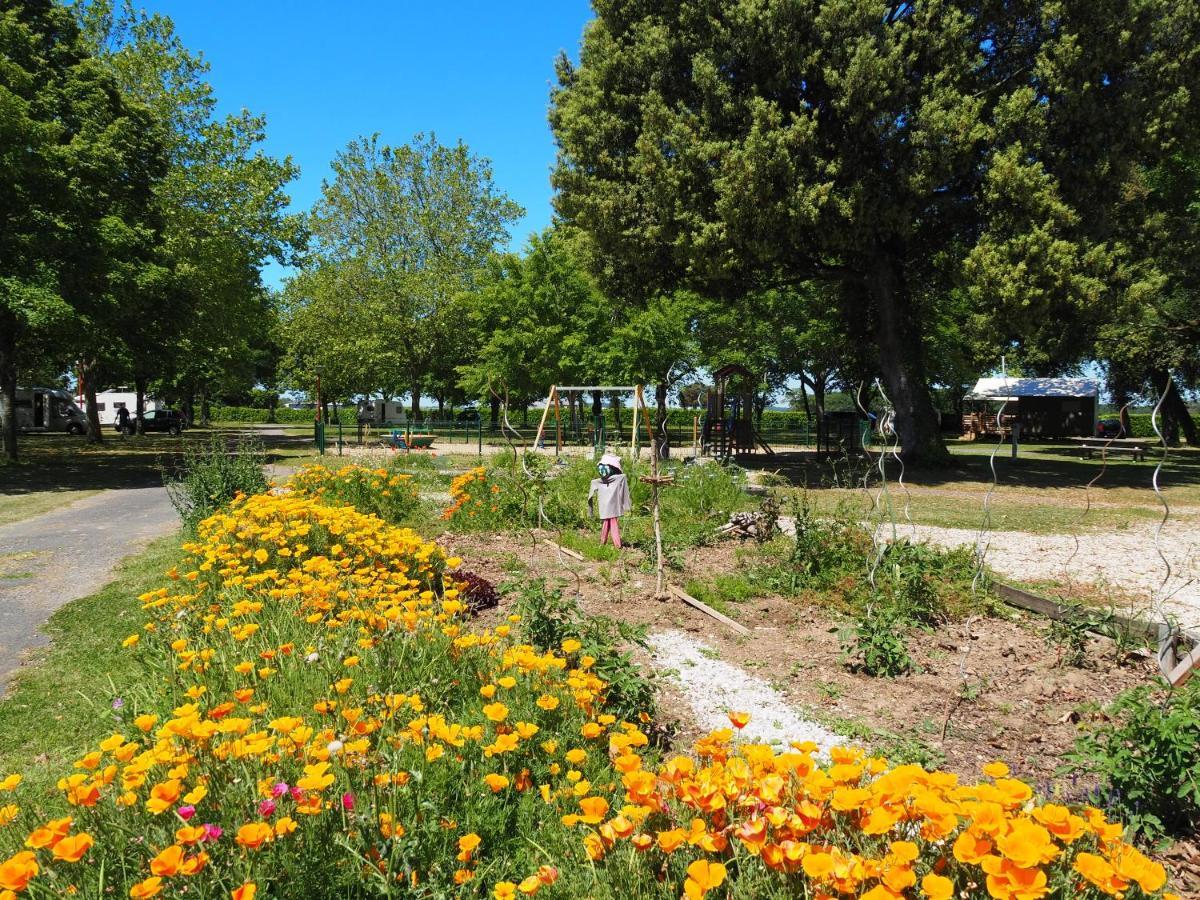 Camping Le Sorlut Cozes Extérieur photo